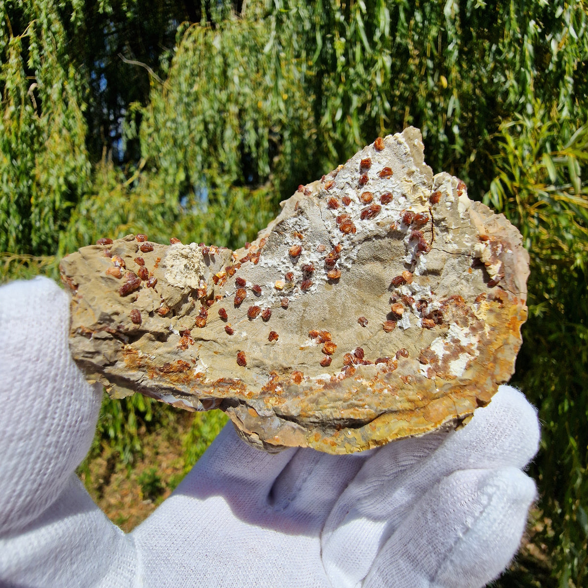 Clinoptilolite - Richardson's Ranch, Oregon, USA.