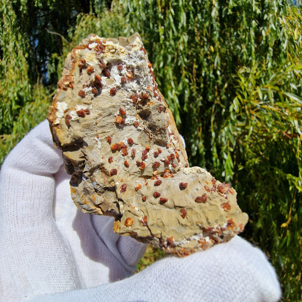 Clinoptilolite - Richardson's Ranch, Oregon, USA.