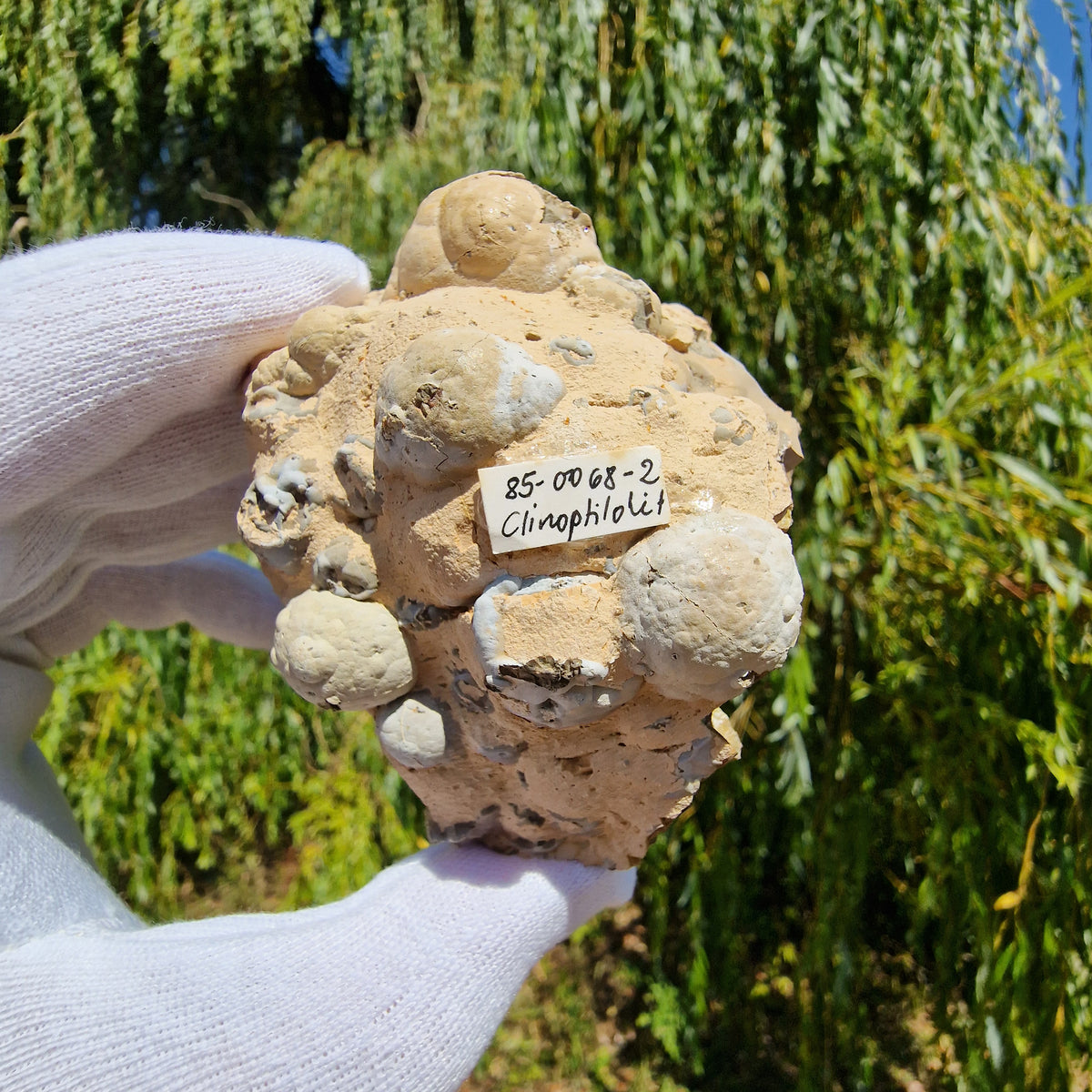 Clinoptilolite - Richardson's Ranch, Oregon, USA.