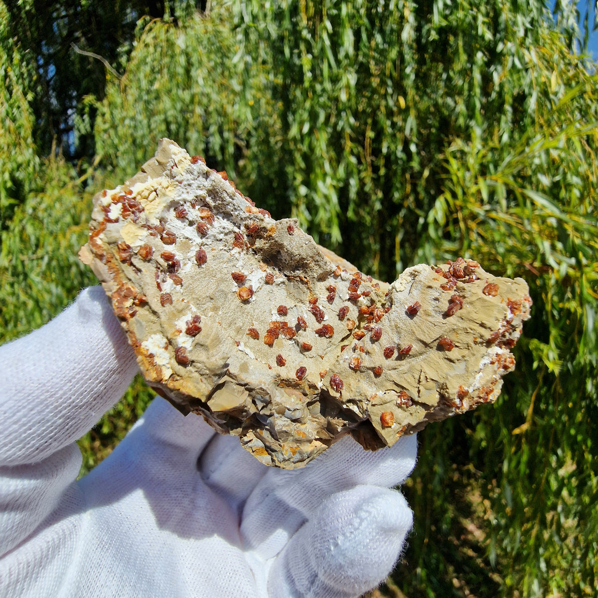 Clinoptilolite - Richardson's Ranch, Oregon, USA.