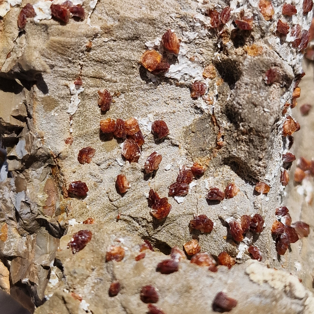 Clinoptilolite - Richardson's Ranch, Oregon, USA.