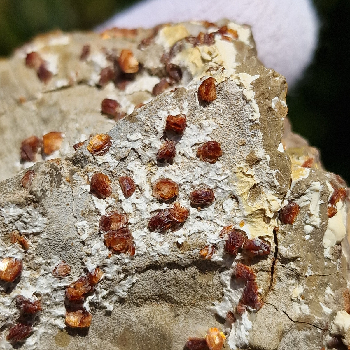 Clinoptilolite - Richardson's Ranch, Oregon, USA.