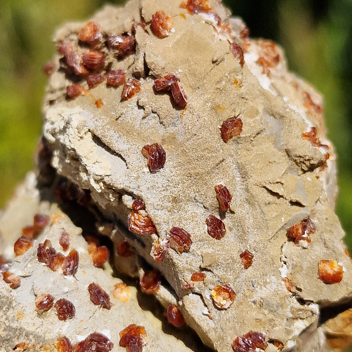 Clinoptilolite - Richardson's Ranch, Oregon, USA.