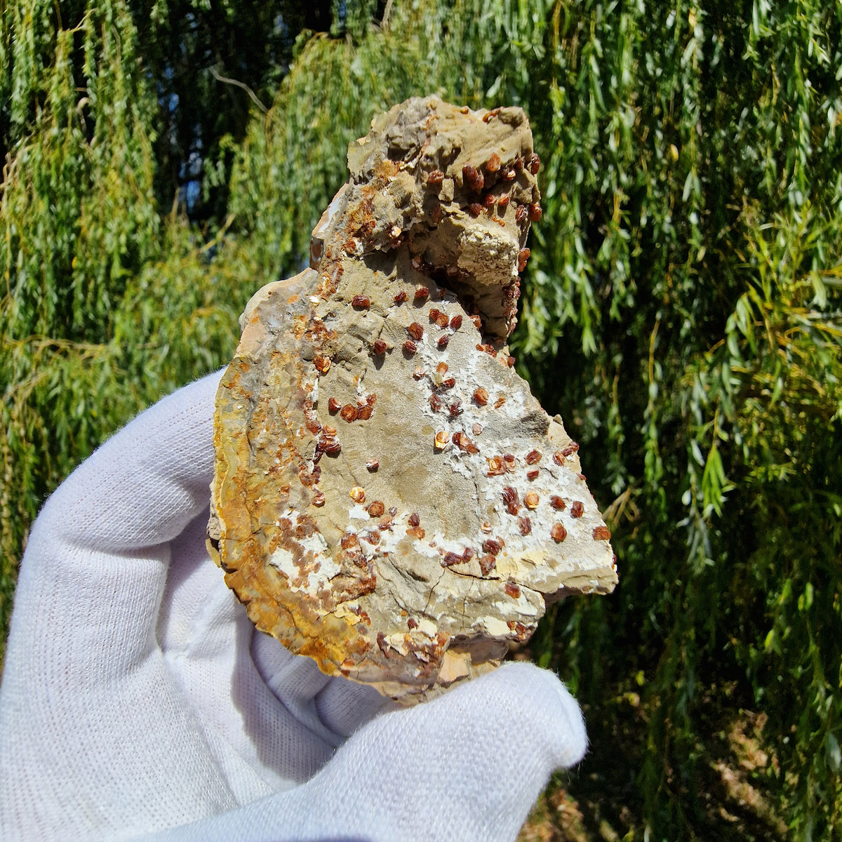 Clinoptilolite - Richardson's Ranch, Oregon, USA.