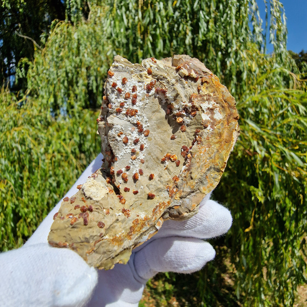 Clinoptilolite - Richardson's Ranch, Oregon, USA.