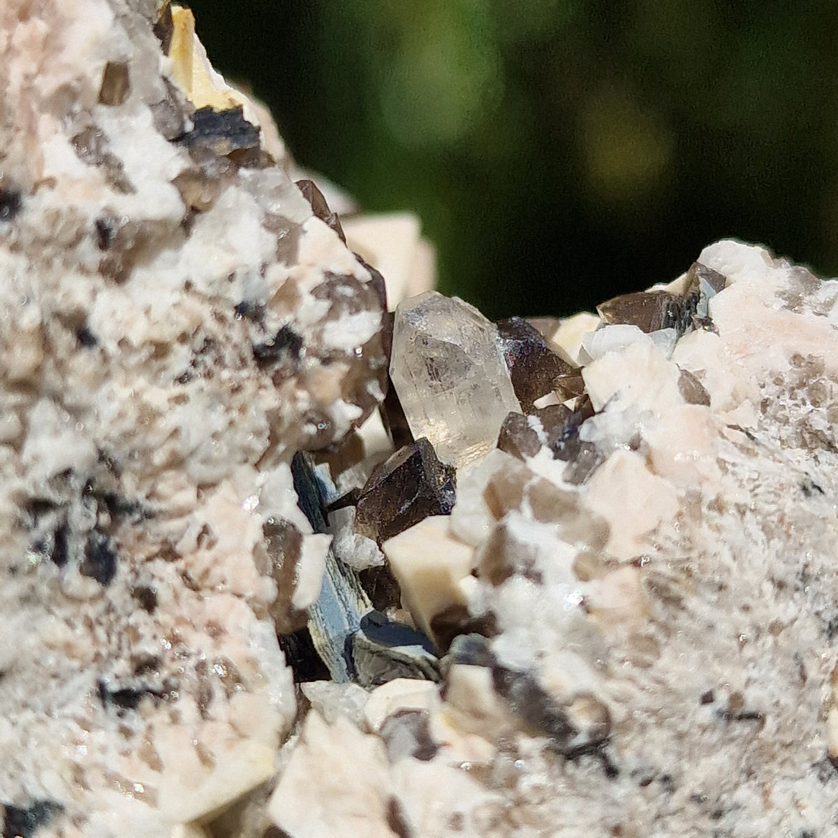 Smoky Quartz, Topaz, Mica and Feldspar - Diamond Rocks, County Down, Northern Ireland.