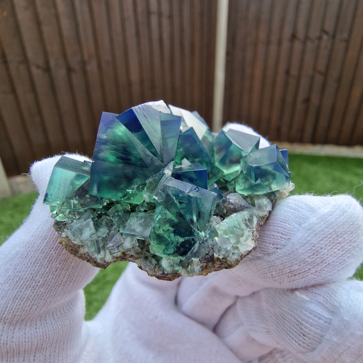 Fluorite and Galena - Pocket 42, Diana Maria Mine, Co. Durham, England.