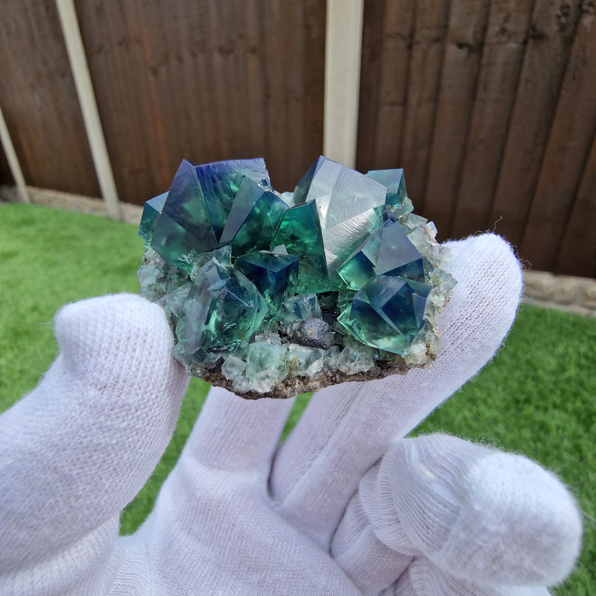 Fluorite and Galena - Pocket 42, Diana Maria Mine, Co. Durham, England.