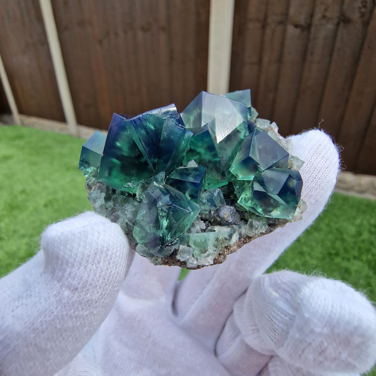 Fluorite and Galena - Pocket 42, Diana Maria Mine, Co. Durham, England.