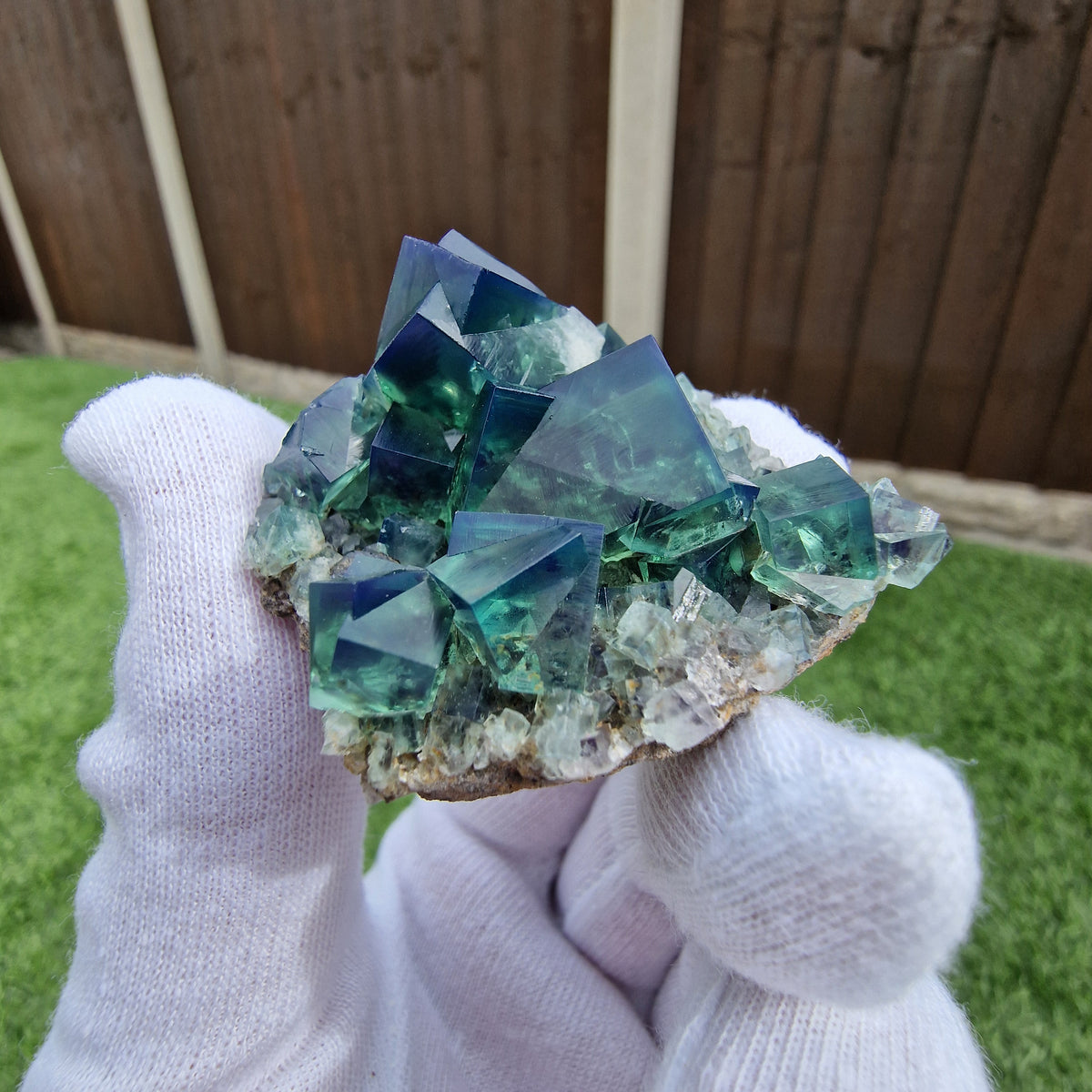 Fluorite and Galena - Pocket 42, Diana Maria Mine, Co. Durham, England.