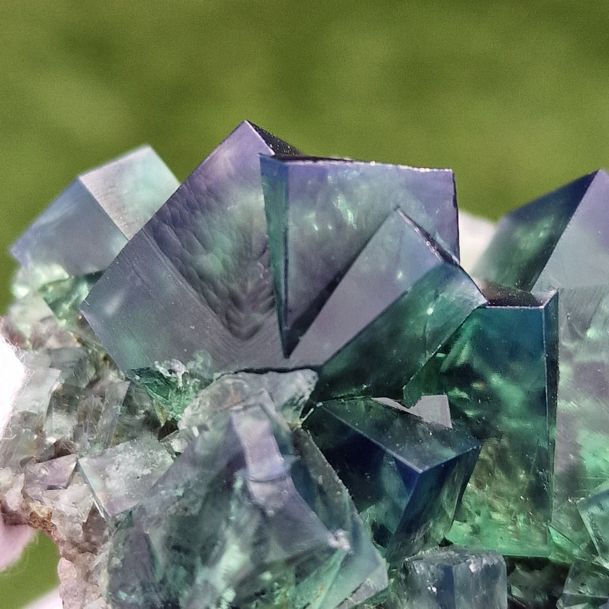 Fluorite and Galena - Pocket 42, Diana Maria Mine, Co. Durham, England.