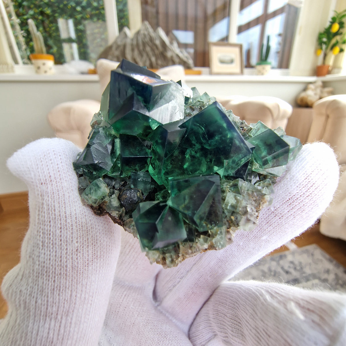 Fluorite and Galena - Pocket 42, Diana Maria Mine, Co. Durham, England.