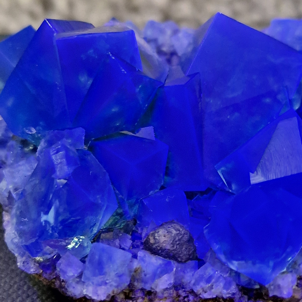 Fluorite and Galena - Pocket 42, Diana Maria Mine, Co. Durham, England.