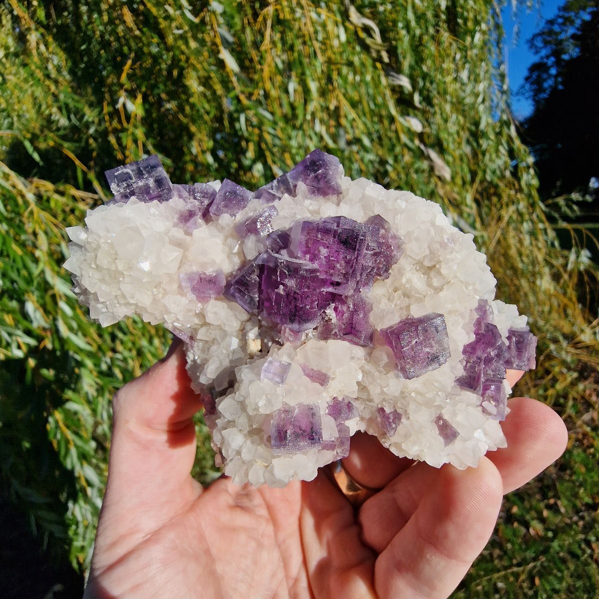 Fluorite on Quartz - Berbes, Spain.