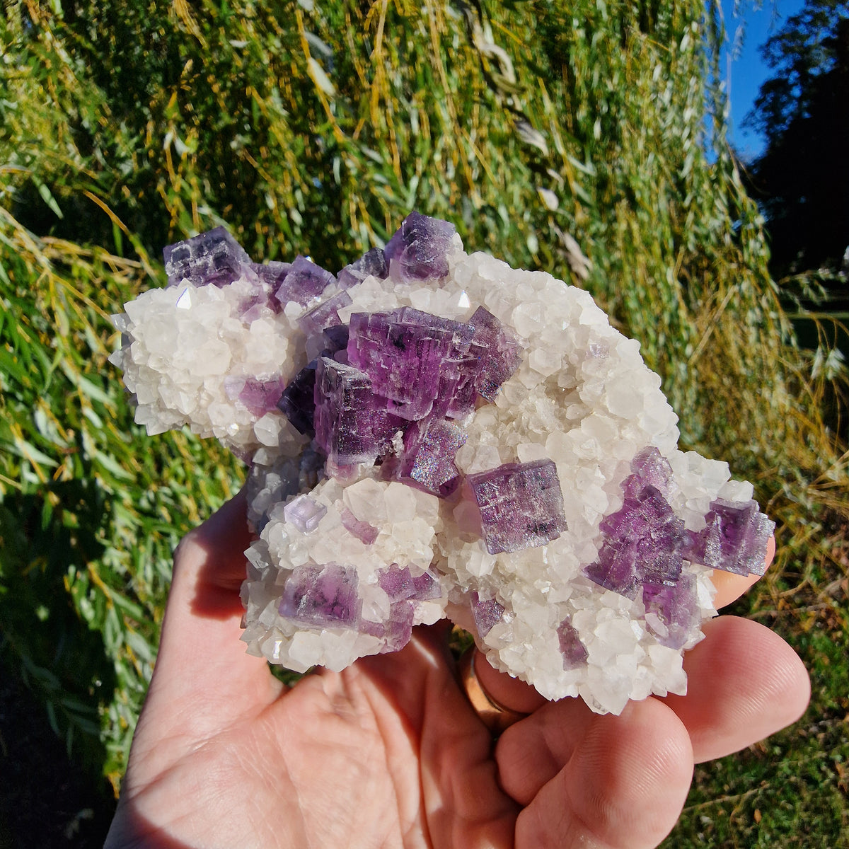 Fluorite on Quartz - Berbes, Spain.