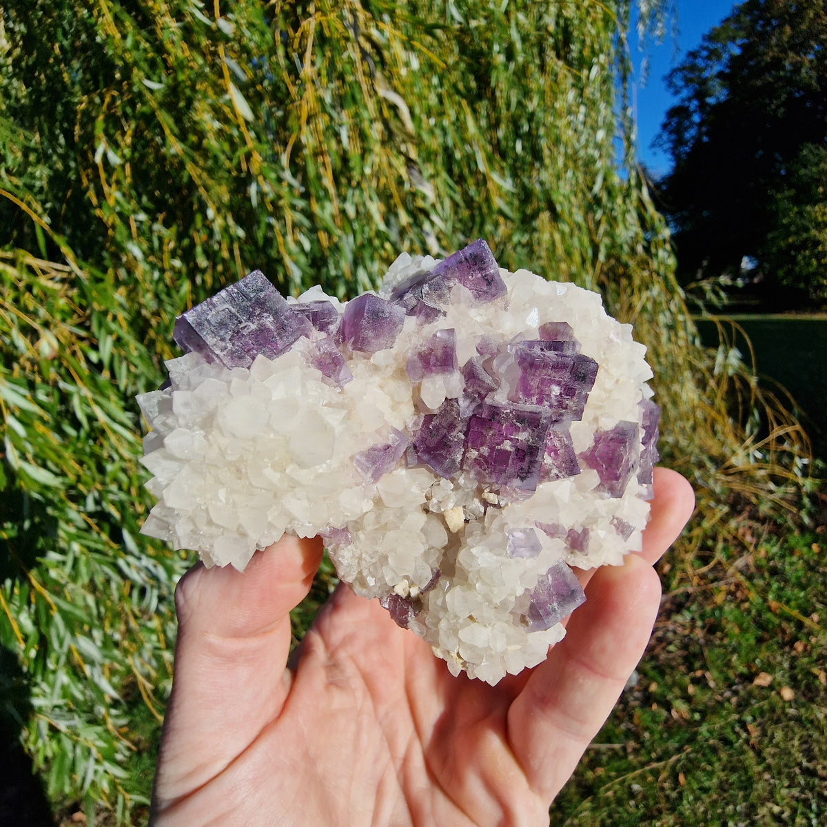 Fluorite on Quartz - Berbes, Spain.