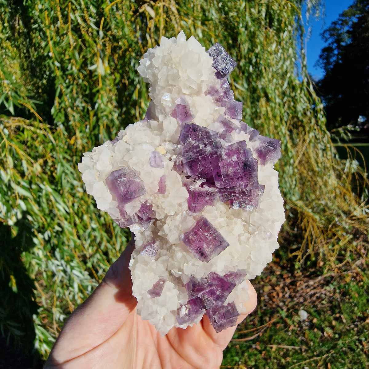 Fluorite on Quartz - Berbes, Spain.