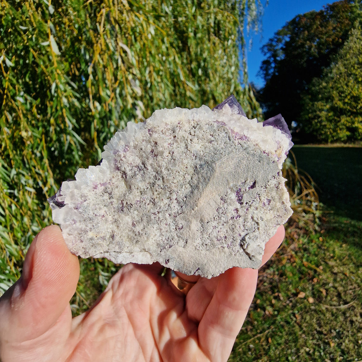 Fluorite on Quartz - Berbes, Spain.