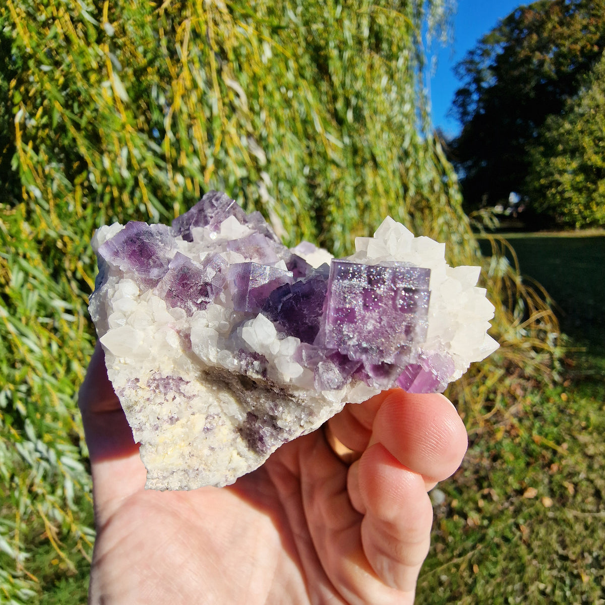 Fluorite on Quartz - Berbes, Spain.
