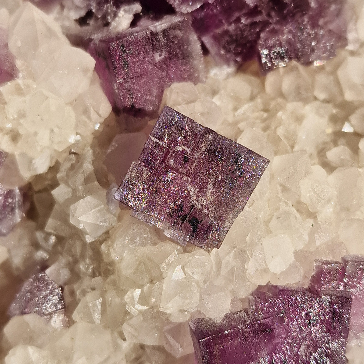 Fluorite on Quartz - Berbes, Spain.
