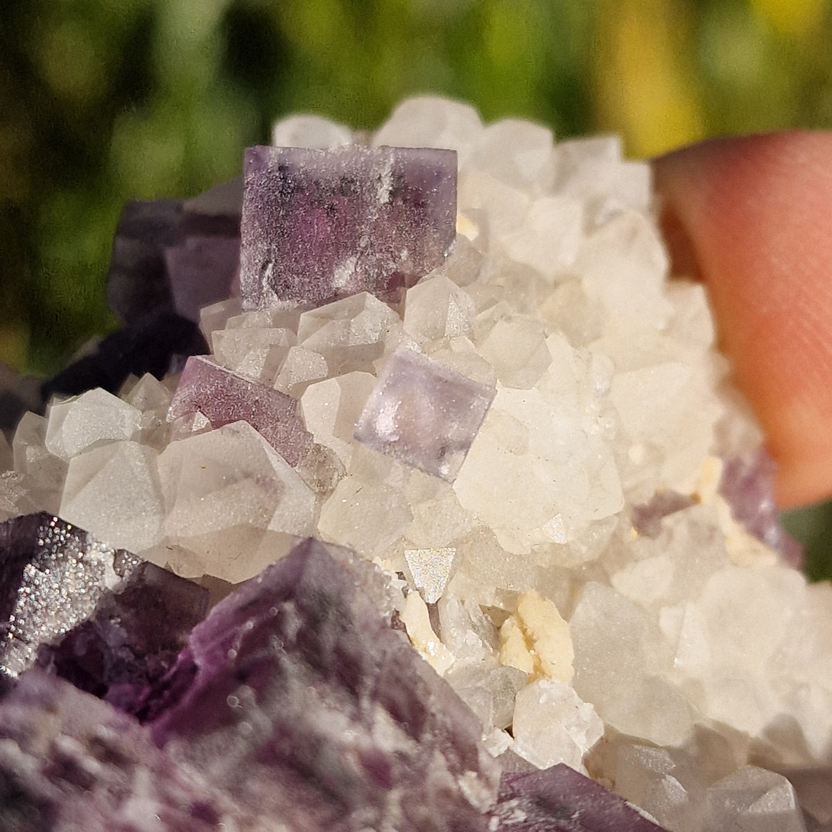 Fluorite on Quartz - Berbes, Spain.