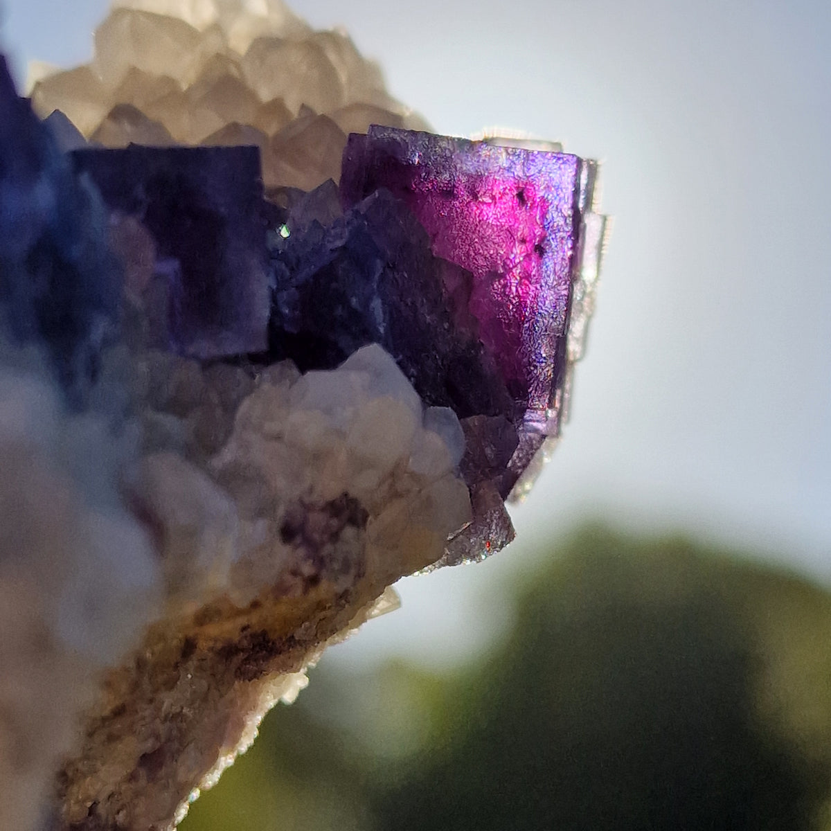 Fluorite on Quartz - Berbes, Spain.