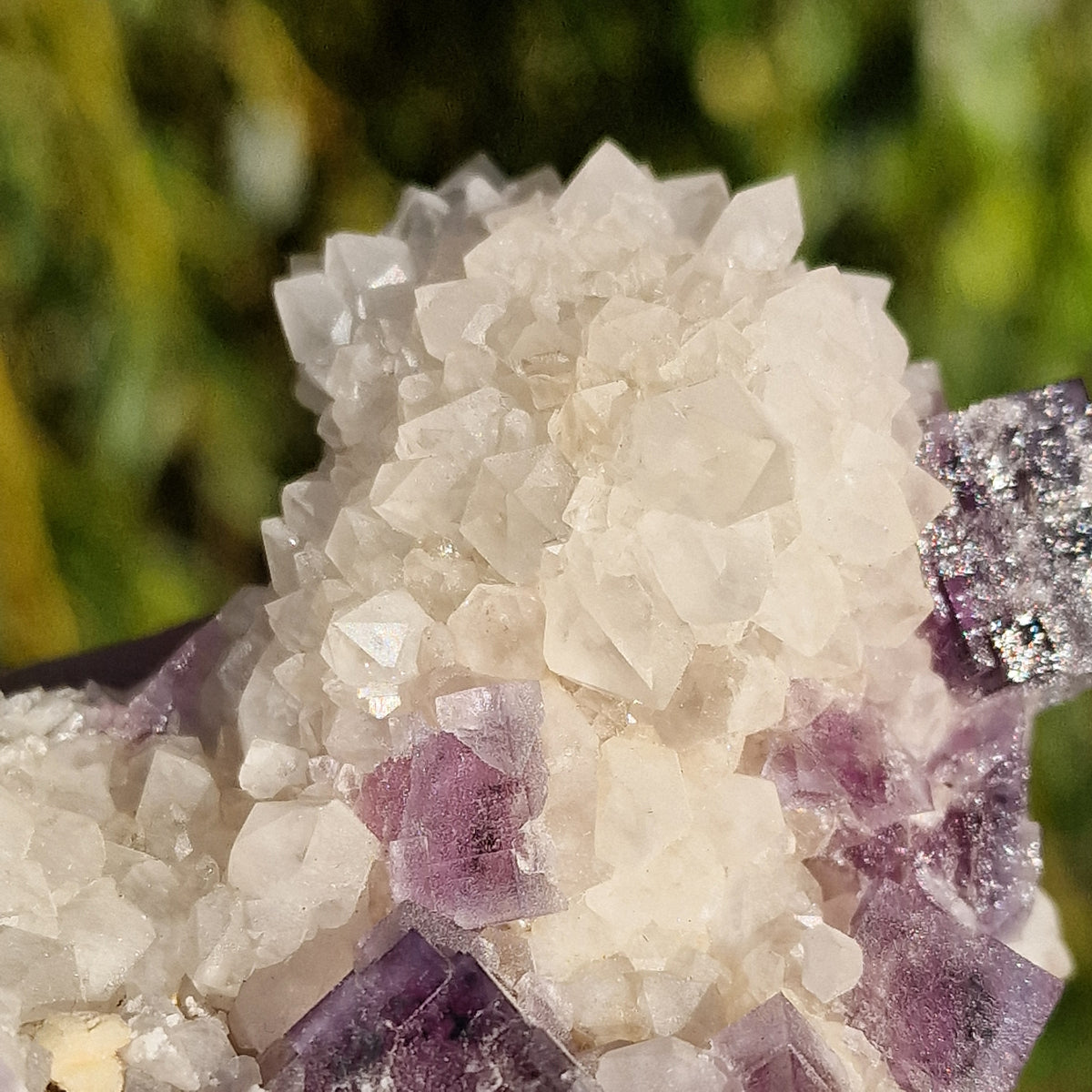 Fluorite on Quartz - Berbes, Spain.