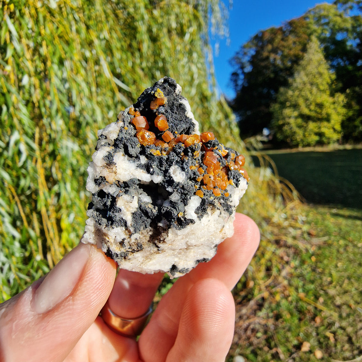 Campylite - Dry Gill Mine, Cumbria, UK.