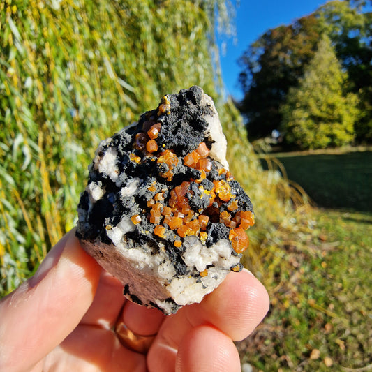 Campylite - Dry Gill Mine, Cumbria, UK.