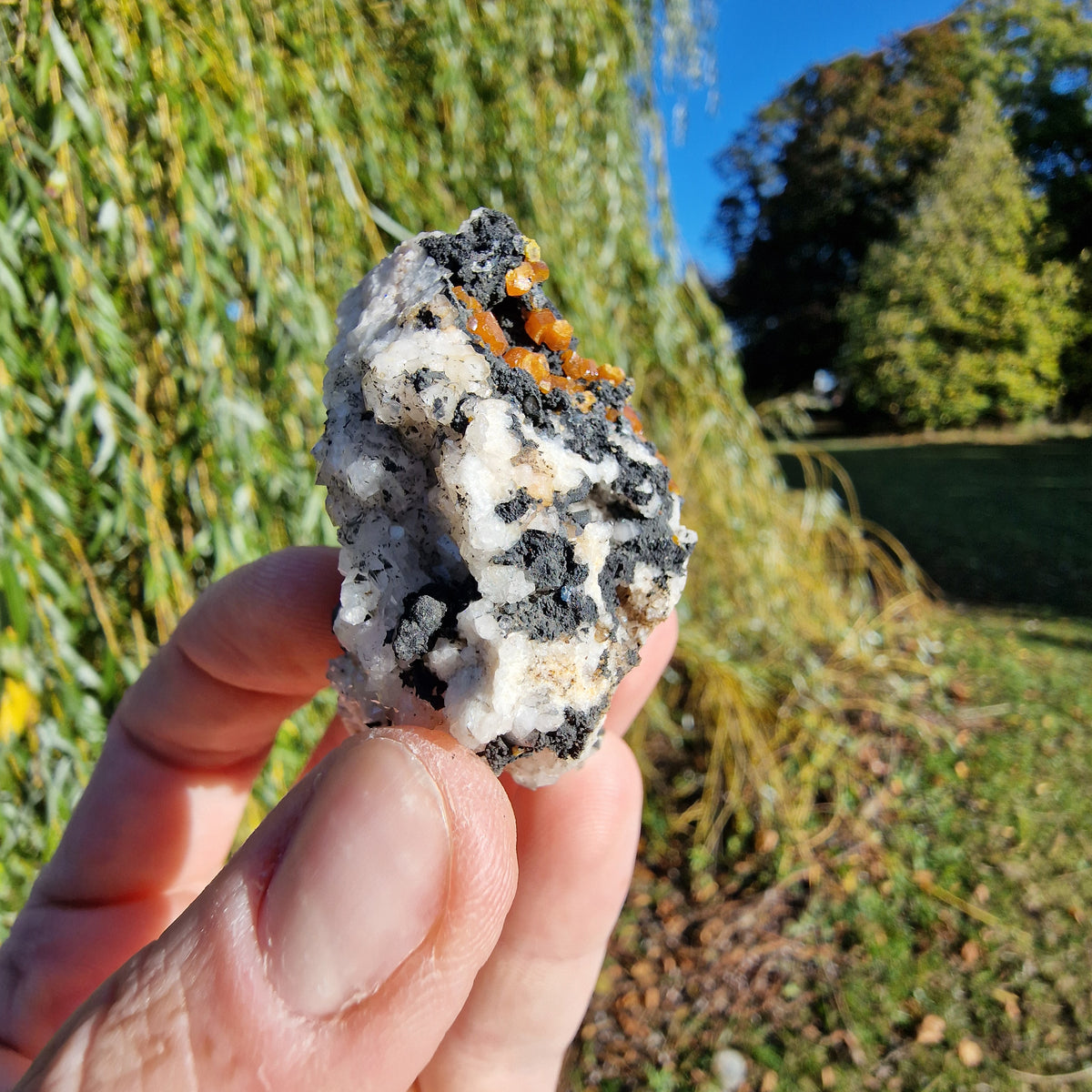 Campylite - Dry Gill Mine, Cumbria, UK.