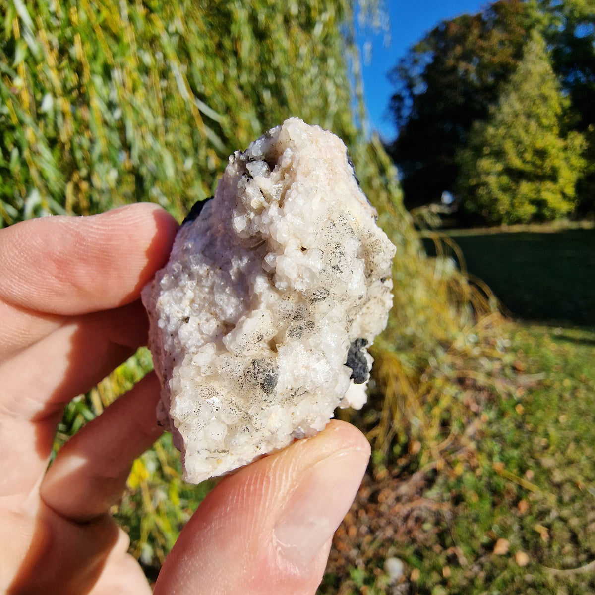Campylite - Dry Gill Mine, Cumbria, UK.