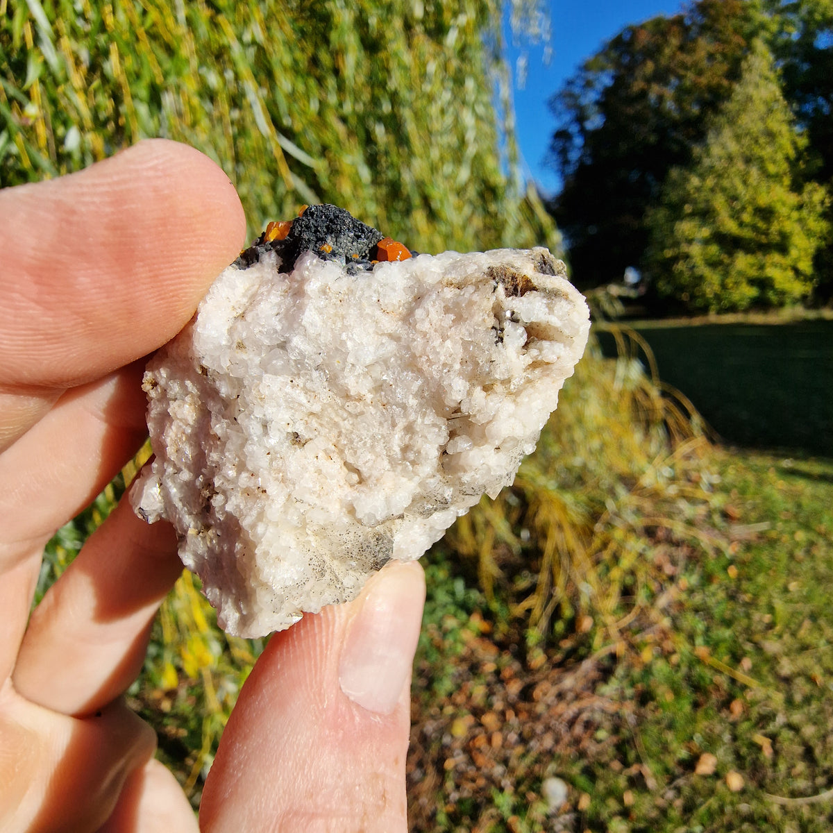 Campylite - Dry Gill Mine, Cumbria, UK.