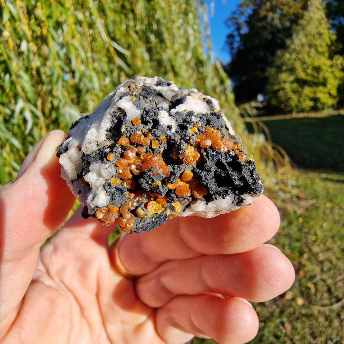 Campylite - Dry Gill Mine, Cumbria, UK.