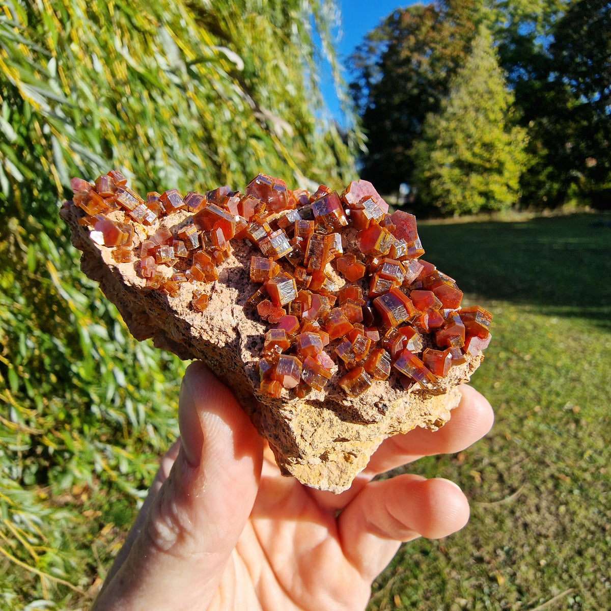 Vanadinite - Mibladen, Morocco.
