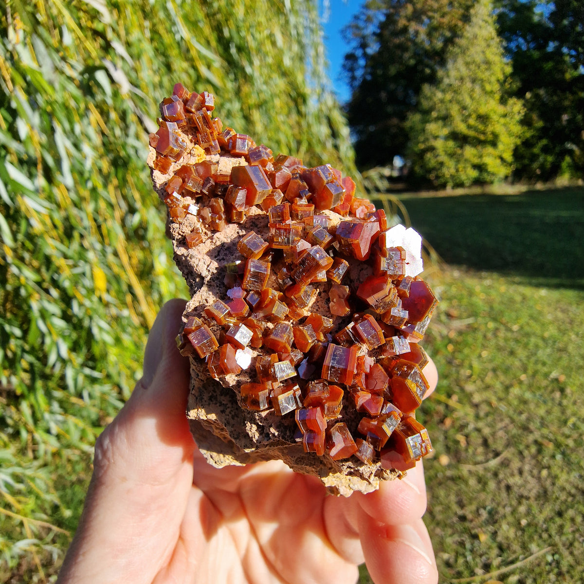 Vanadinite - Mibladen, Morocco.