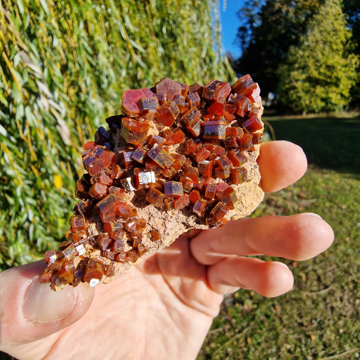 Vanadinite - Mibladen, Morocco.