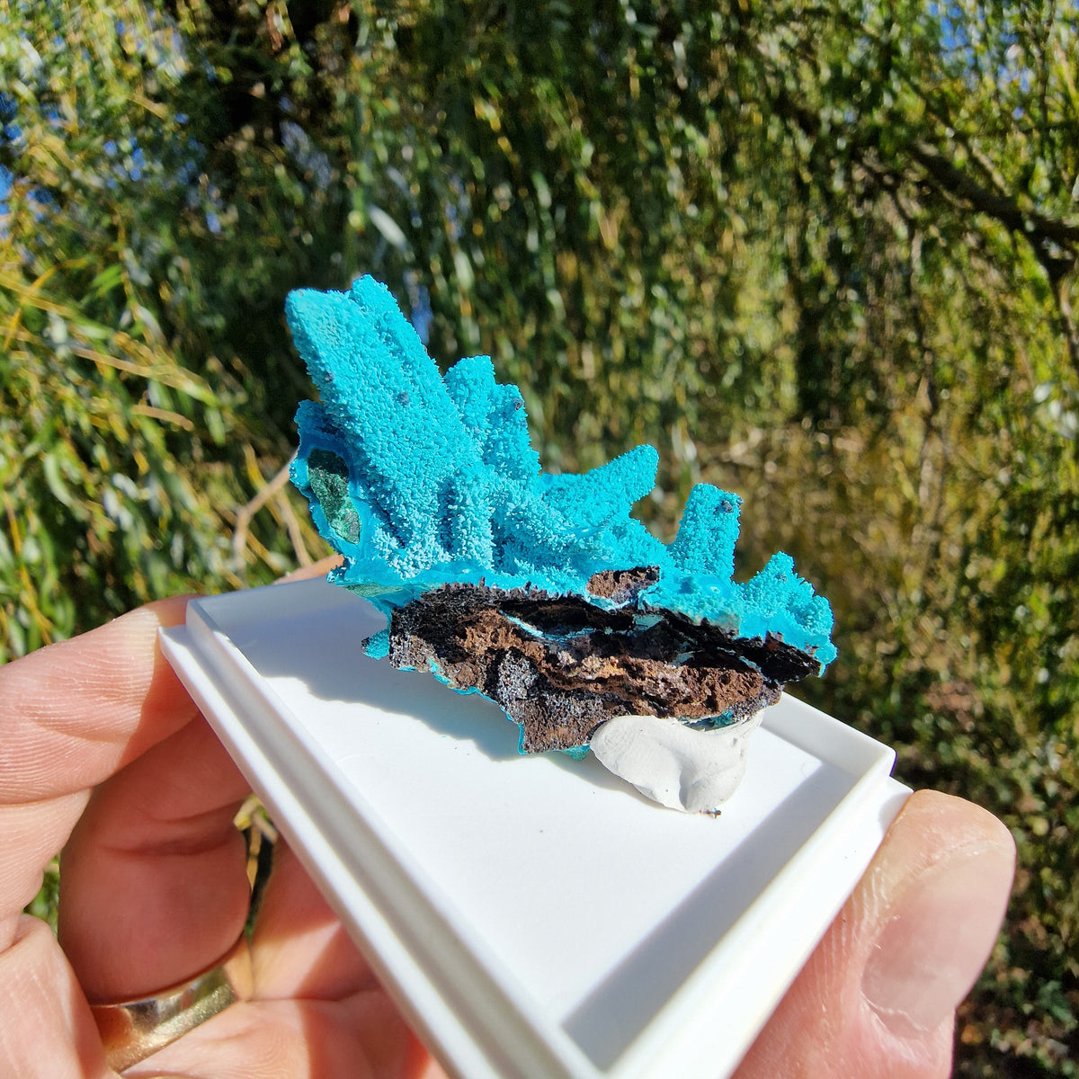Chrysocolla & Malachite Pseudomorph after Azurite - Luputo Mine, DR Congo. 