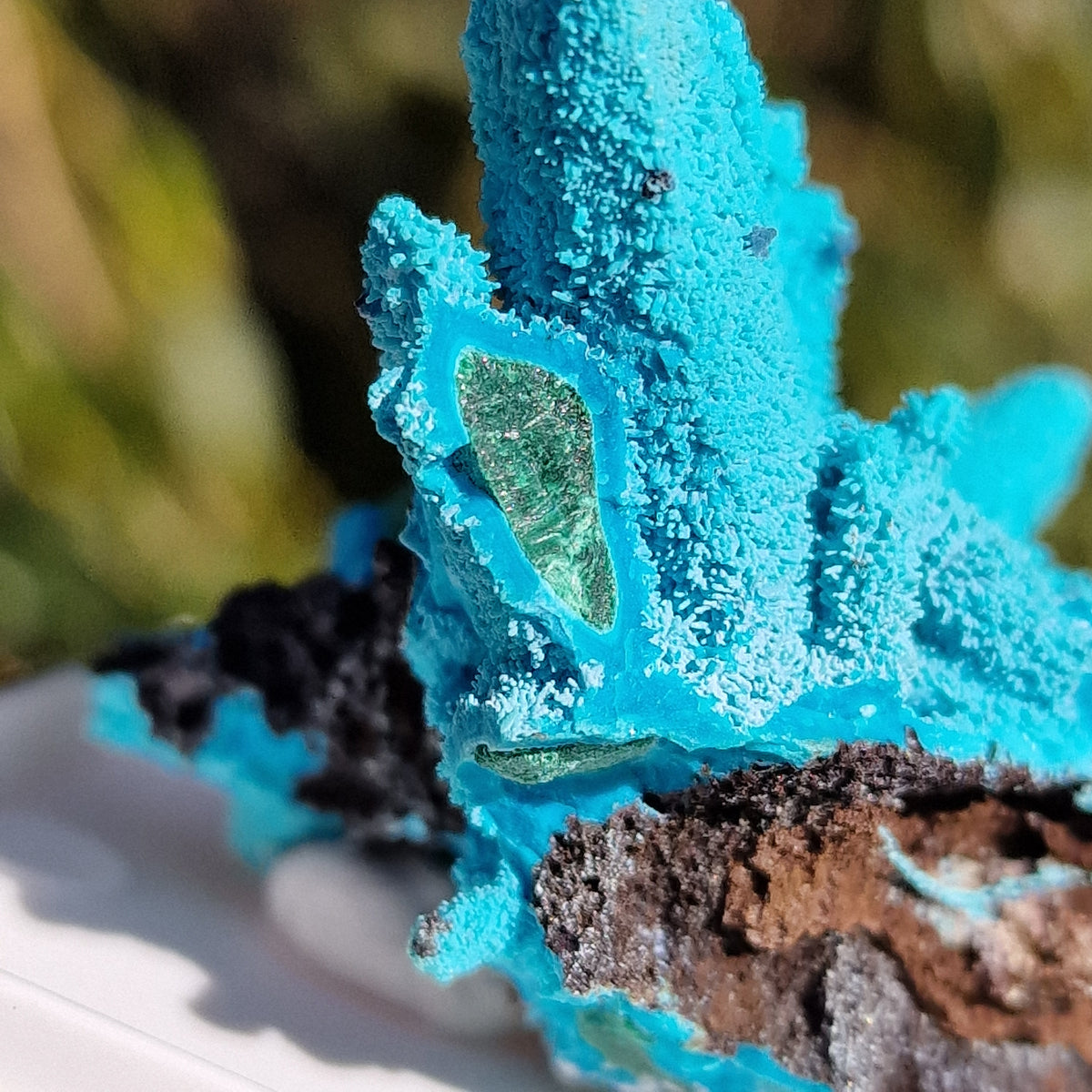 Chrysocolla & Malachite Pseudomorph after Azurite - Luputo Mine, DR Congo. 