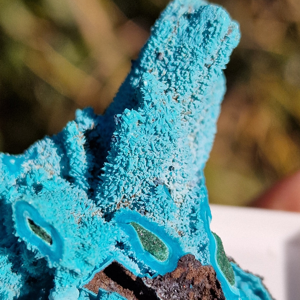 Chrysocolla & Malachite Pseudomorph after Azurite - Luputo Mine, DR Congo. 