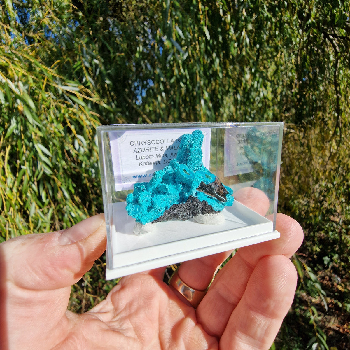 Chrysocolla & Malachite Pseudomorph after Azurite - Luputo Mine, DR Congo. 