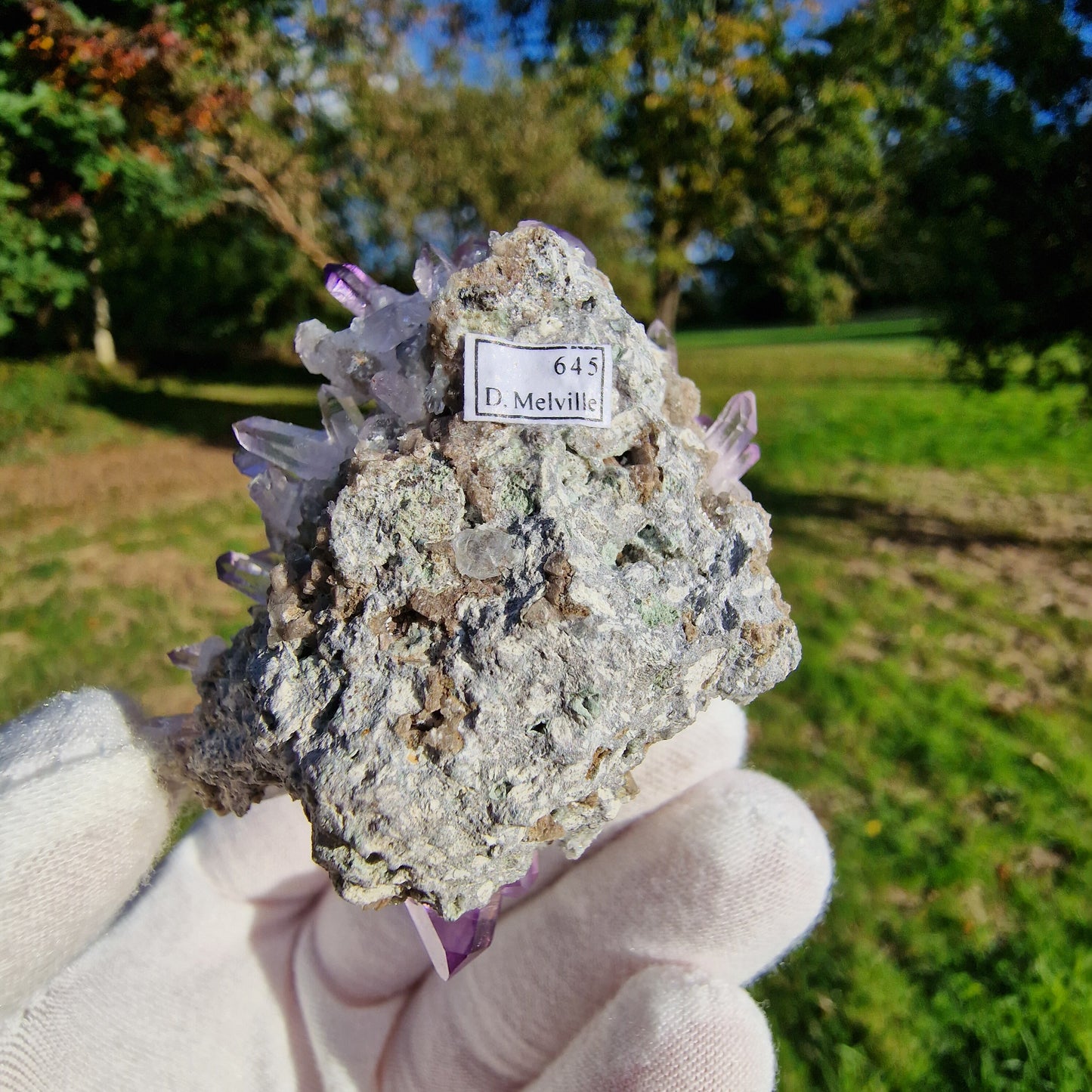 Quartz Var Amethyst - Veracruz, Mexico.
