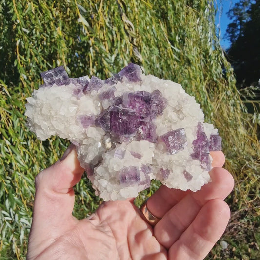 Fluorite on Quartz - Berbes, Spain.