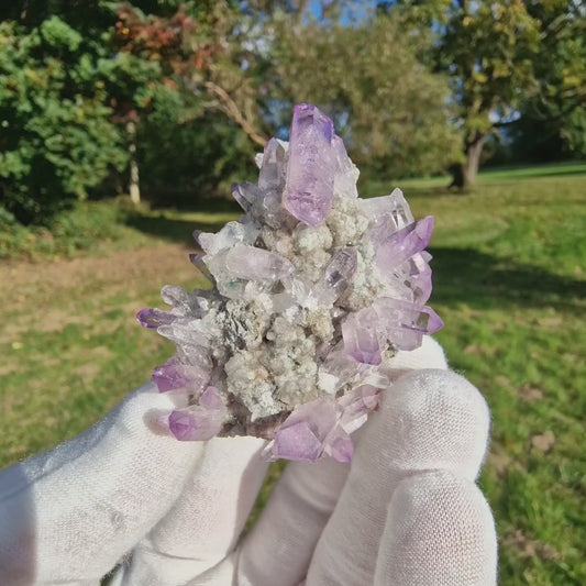 Quartz Var Amethyst - Veracruz, Mexico.