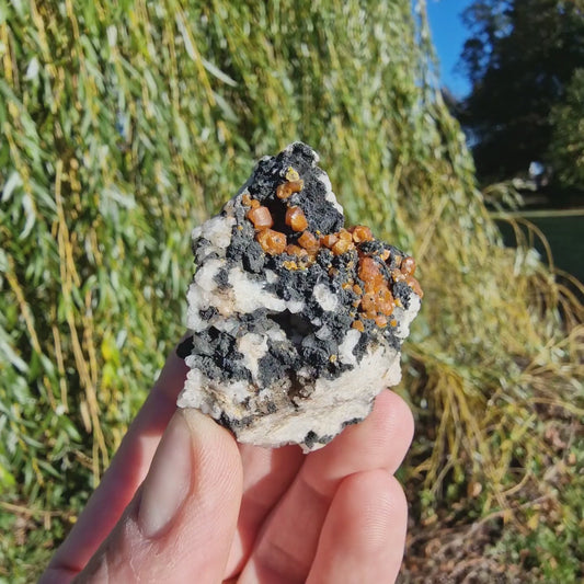 Campylite - Dry Gill Mine, Cumbria, UK.