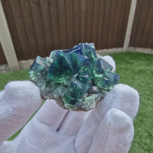 Fluorite and Galena - Pocket 42, Diana Maria Mine, Co. Durham, England.