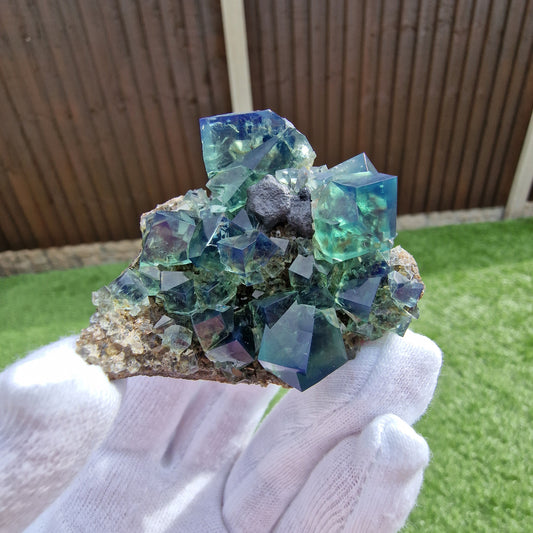 Fluorite and Galena - Pocket 42, Diana Maria Mine, Co. Durham, England.