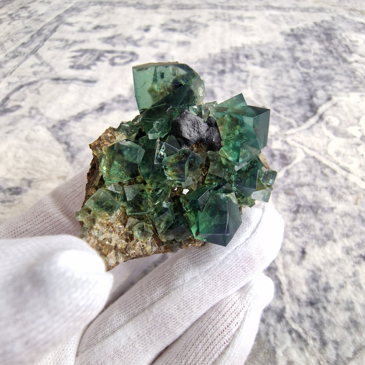 Fluorite and Galena - Pocket 42, Diana Maria Mine, Co. Durham, England.