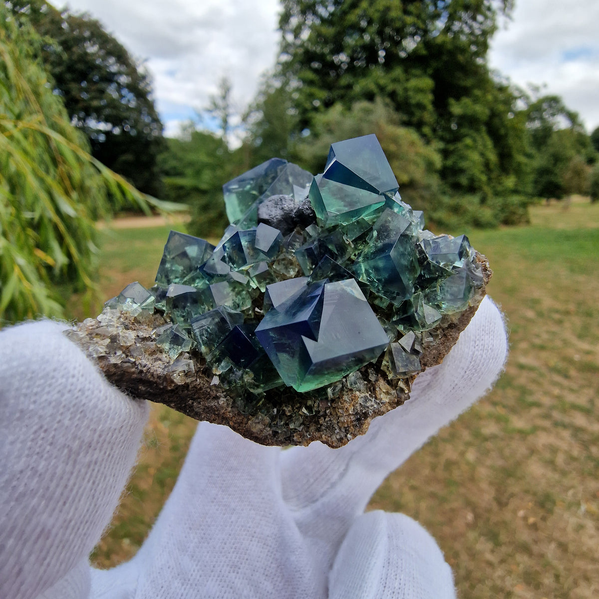 Fluorite and Galena - Pocket 42, Diana Maria Mine, Co. Durham, England.