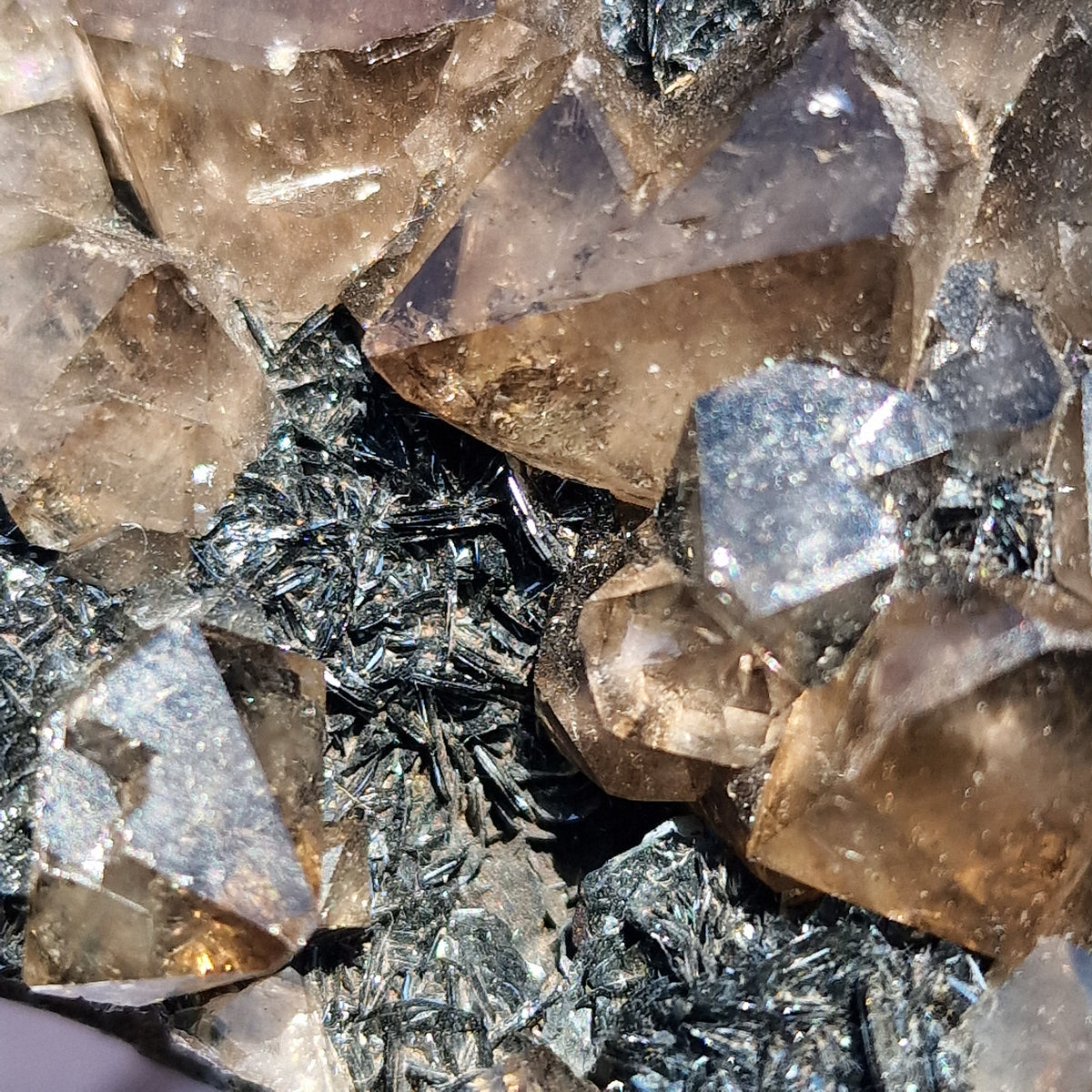 Smoky Quartz and Specularite on Hematite - Beckermet Mine, England, UK.