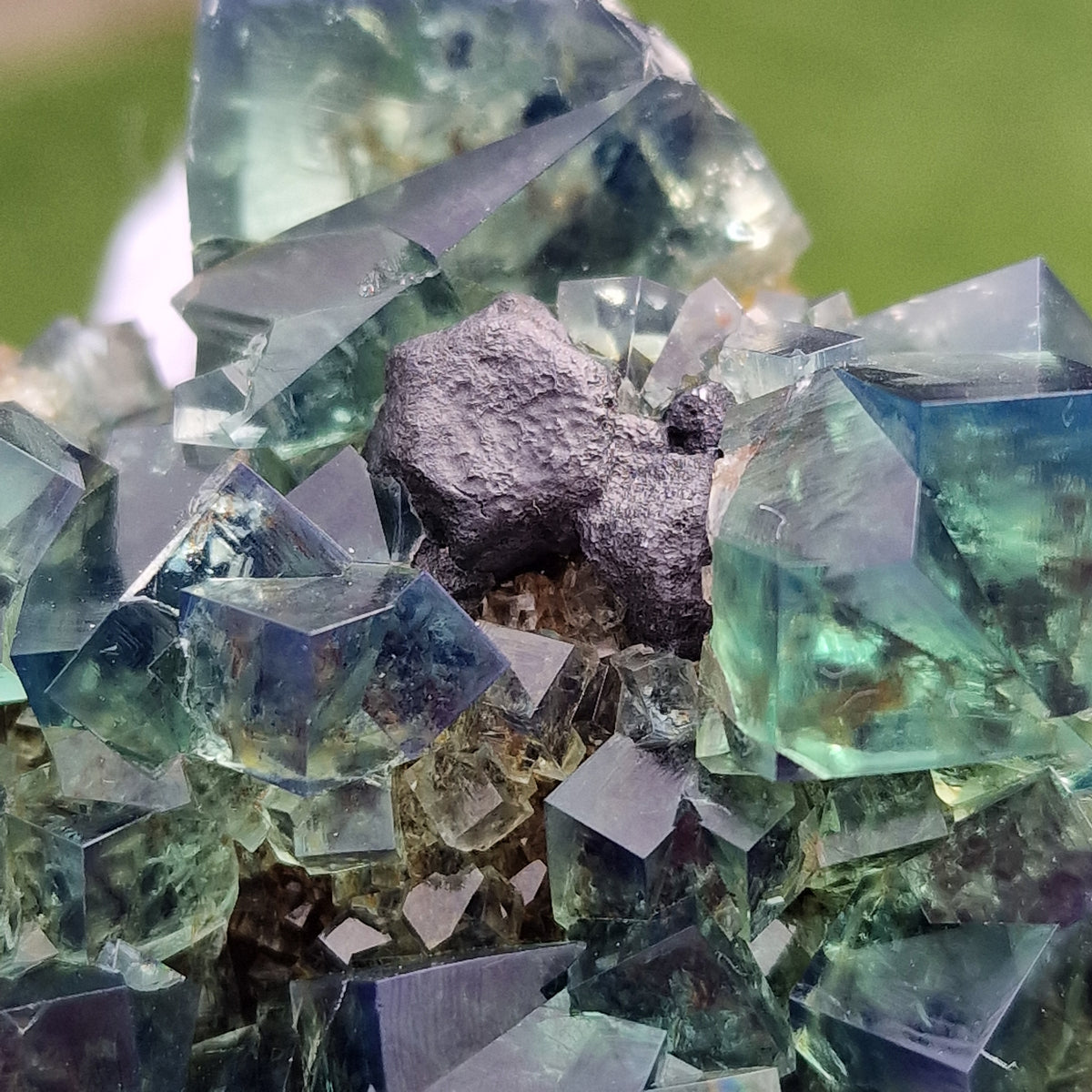 Fluorite and Galena - Pocket 42, Diana Maria Mine, Co. Durham, England.